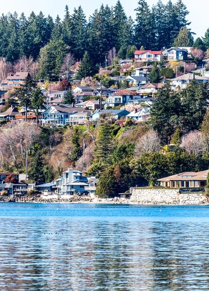 Uitzicht Huizen Aan Het Water Bij Seahurst Park Burien Washington — Stockfoto