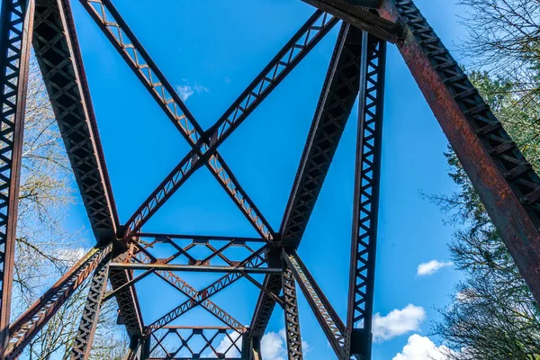 Крупный План Моста Тропе Реки Сидар Реонтоне Штат Вашингтон — стоковое фото