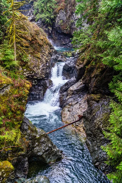 Landschapsopname Van Twin Falls Staat Washington — Stockfoto