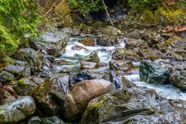 Washington 'da Twin Falls yakınlarındaki Snoqualmie Nehri manzarası.