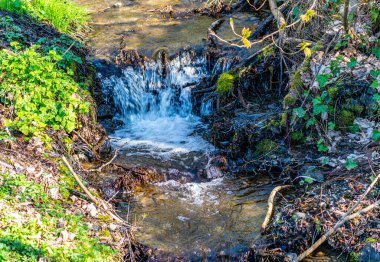 Burien, Washington 'daki Seahurst Park' ta küçük bir dere manzarası..
