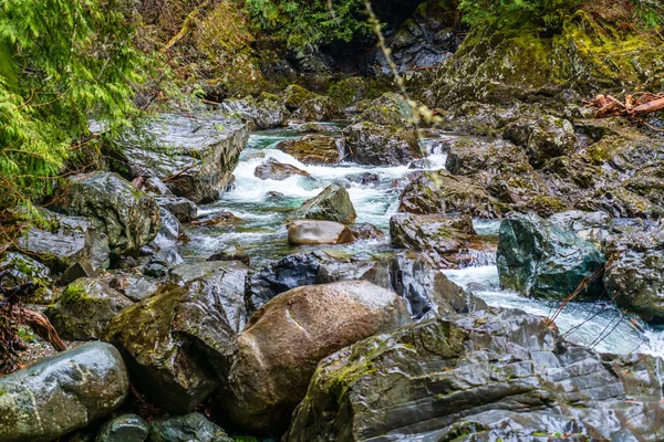 Uma Vista Rio Snoqualmie Perto Twin Falls Estado Washington — Fotografia de Stock