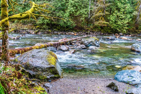 Una Vista Del Río Snoqualmie Cerca Twin Falls Estado Washington —  Fotos de Stock