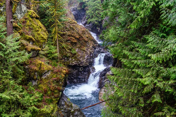 Landscape Shot Twin Falls Washington State — Stock Photo, Image
