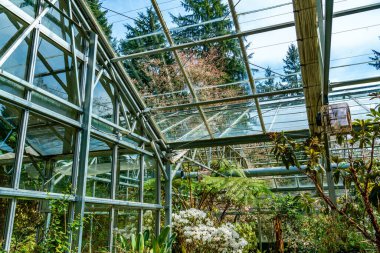 Washington Federal Yolu 'ndaki Rhododendron Tür Botanik Bahçesi' nde bir seranın mimarisi..