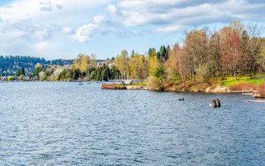 Renton, Washington 'daki Gene Coulon Park' taki kıyı şeridi manzarası.