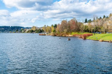 Renton, Washington 'daki Gene Coulon Park' taki kıyı şeridi manzarası.