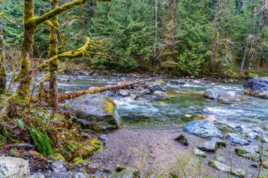 Washington 'da Twin Falls yakınlarındaki Snoqualmie Nehri manzarası.