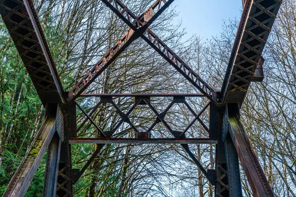Κοντινό Πλάνο Μιας Γέφυρας Στο Μονοπάτι Του Ποταμού Cedar Στο — Φωτογραφία Αρχείου