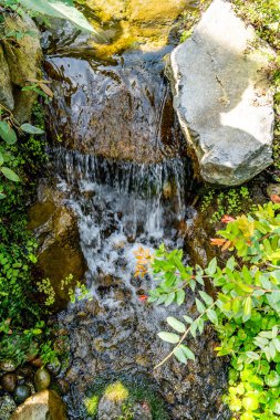 Washington Federal Yolu 'ndaki Rhododendron Tür Botanik Bahçesi' ndeki bir seranın detaylı bir görüntüsü..