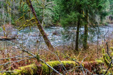 Washington 'da Twin Falls yakınlarındaki Snoaualmie Nehri manzarası.