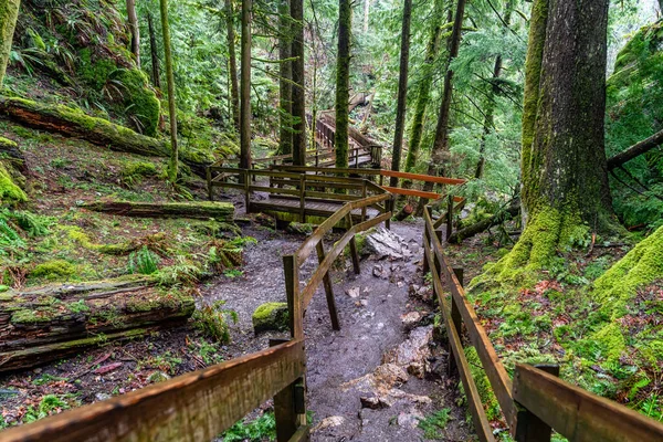 stock image A veiw of the trail and a wooden walking bridge at Twin Falls in Washington State.