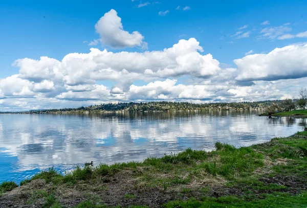 雲はワシントン州シアトルのワシントン湖の水に反映されています — ストック写真