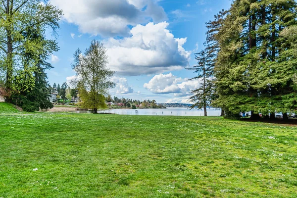Uma Vista Seward Park Seattle Washington Primavera — Fotografia de Stock