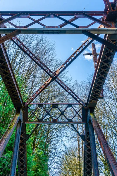 Detailní Záběr Mostního Koše Trase Řeky Cedar Reontonu Washingtonu — Stock fotografie