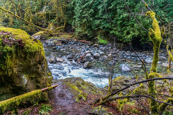 stock image A view of the Snoqualmie River near Twin Falls in Washington State.