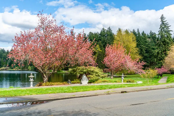 Flores Primavera Florescendo Longo Lake Washington Boulevard Seattle Washington — Fotografia de Stock