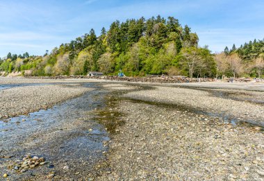 Kıyı tuzlu su State Park Des Moines, Washington'da bir görünümünü.