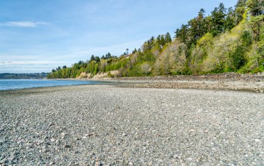 Kıyı tuzlu su State Park Des Moines, Washington'da bir görünümünü.