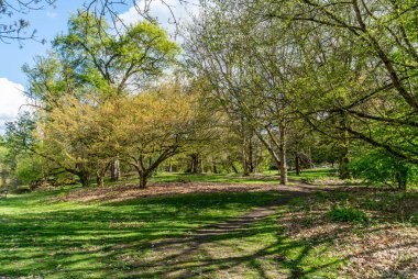 Seattle, Washington 'da Dcuk Körfezi yakınlarındaki arazi manzarası.