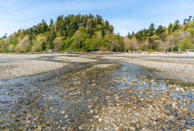 Kıyı tuzlu su State Park Des Moines, Washington'da bir görünümünü.