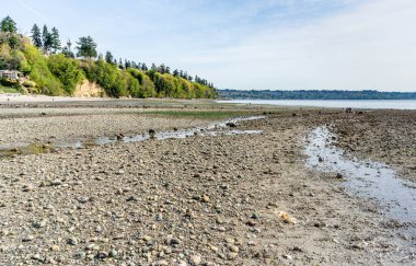 Kıyı tuzlu su State Park Des Moines, Washington'da bir görünümünü.