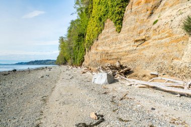 Kıyı tuzlu su State Park Des Moines, Washington'da bir görünümünü.