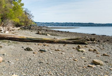 Kıyı tuzlu su State Park Des Moines, Washington'da bir görünümünü.