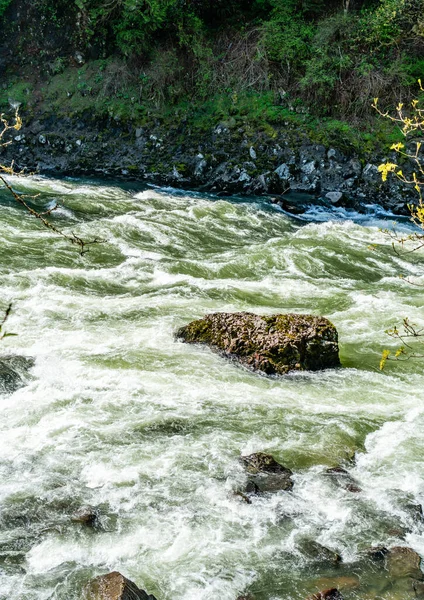 华盛顿州Snoqualmie河上的白水急流 — 图库照片