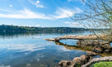 Kenmore, Washington 'daki Washington Gölü' ndeki evlerin manzarası.