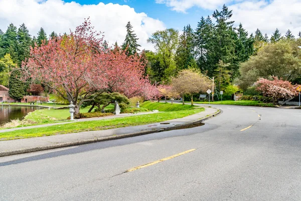 stock image Blooming spring flowers along Lake Washington Boulevard in Seattle, Washington.