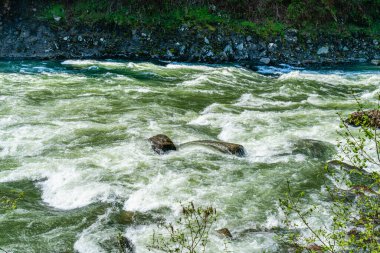 Whitewater Washington 'daki Snoqualmie Nehri' nde akıntıya kapıldı.