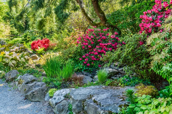 Flores Florecen Jardín Seatac Washington — Foto de Stock