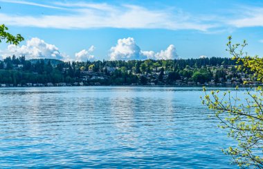 Kenmore, Washington 'daki Washington Gölü' ndeki evlerin manzarası.