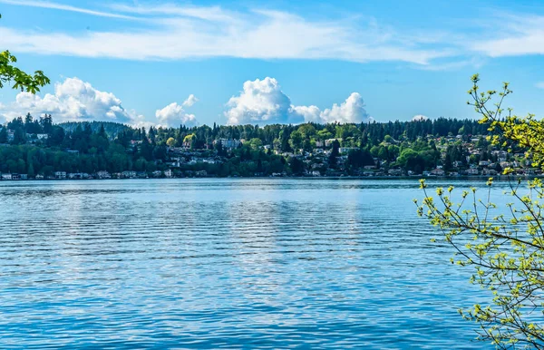 Uma Vista Casas Através Lago Washington Kenmore Washington — Fotografia de Stock