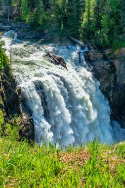 Washington 'da güçlü bir günde Snoqualmie Falls' un zirvesi.
