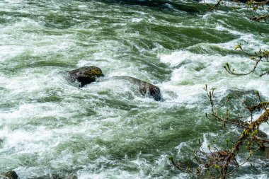 Whitewater Washington 'daki Snoqualmie Nehri' nde akıntıya kapıldı.