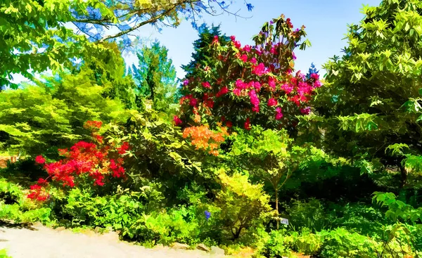 Illustration Blommor Som Blommar Trädgård Seatac Washington — Stockfoto