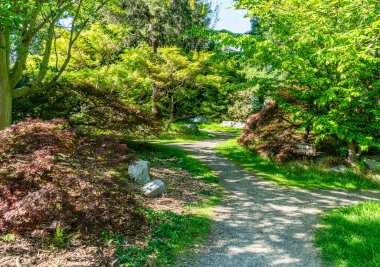 Washington 'daki Güney Seattle Devlet Üniversitesi' nde bir bahçe dokuma yolu vardı..