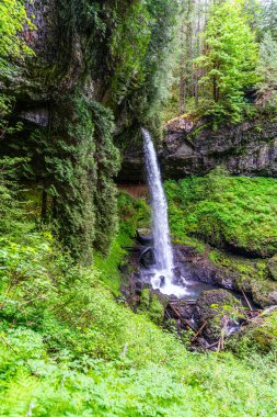 Oregon eyaletindeki Silver Falls Eyalet Parkı 'nda Lower North Falls' un manzara çekimi.
