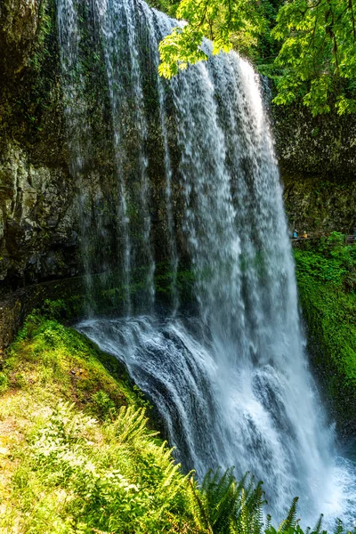 Sebuah Gambar Lansekap Lower South Falls Silver Falls State Park — Stok Foto