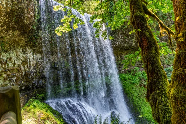 Oregon Eyaletindeki Silver Falls Eyalet Parkı Nda Lower South Falls — Stok fotoğraf