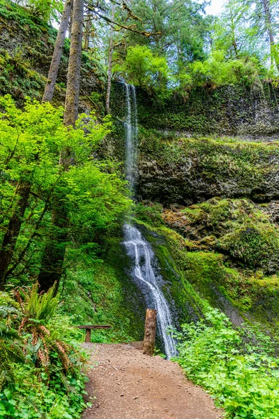 Paysage Twin Falls Silver Falls State Park Dans État Oregeon — Photo