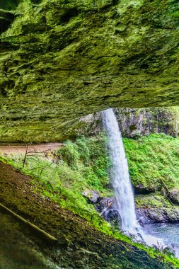 Oregon eyaletindeki Silver Falls Eyalet Parkı 'ndan Lower Notth Falls' un manzarası.