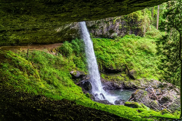 Вид Знизу Водоспад Нотт Парку Срібних Водоспадів Штату Орегон — стокове фото