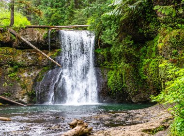 Oregon 'daki Silver Falls Eyalet Parkı' nda Notth Falls manzarası.