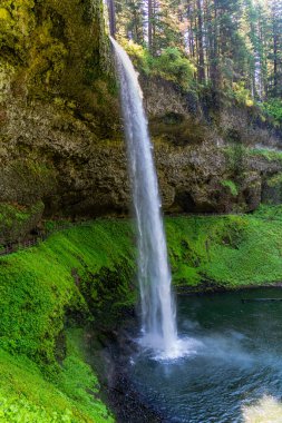 Oregon Eyaleti Silver Falls Eyalet Parkı 'nda bir Güney Sonbaharı manzarası.