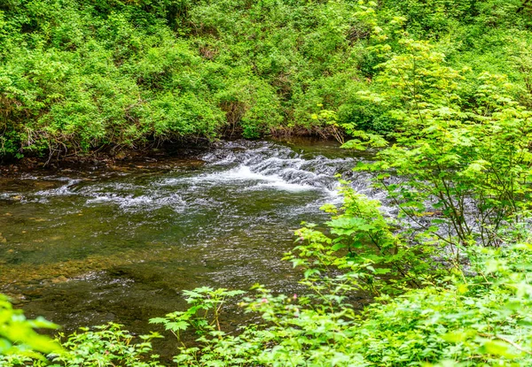 オレゴン州のシルバーフォールズ州立公園でのシルバークリークの風景 — ストック写真