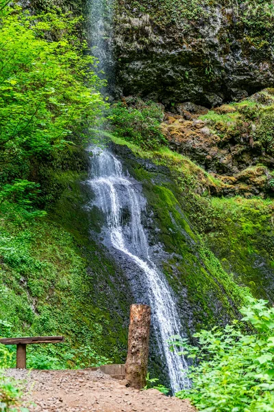 Пейзаж Водоспаду Twin Falls State Park Штаті Ореджон — стокове фото