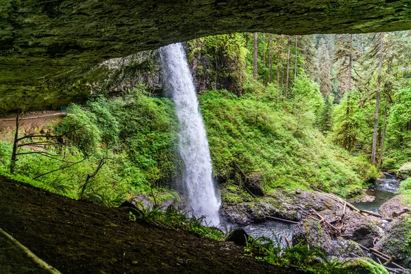 View Lower Notth Falls Silver Falls State Park Oregon State — Stock Photo, Image